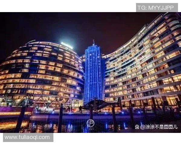 杭州飞盘队运营分析：成功经验与面临挑战的全面探讨