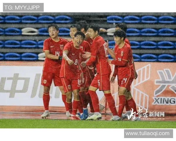 2011年亚预赛中国队对阵越南队精彩回顾与赛后分析