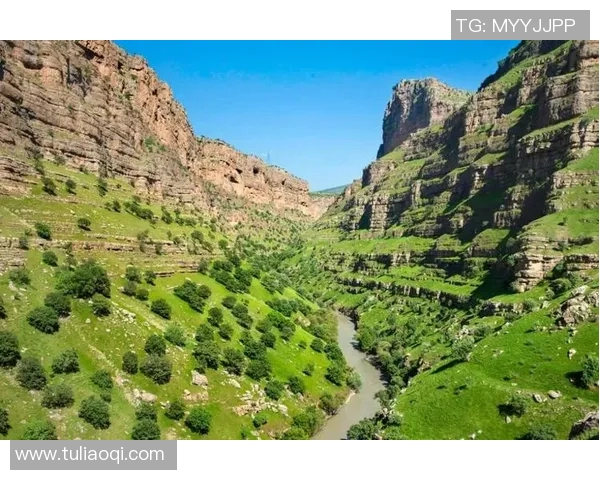 天狼星与库尔德人激战正酣赛果揭晓引发热议