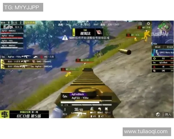 和平精英战术深度解析：RNG团队协作与策略创新的成功之道